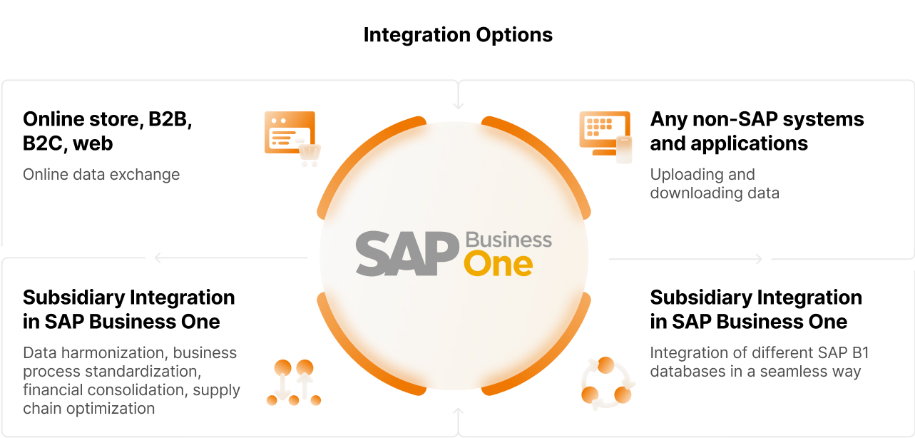 SAP B1 integration options